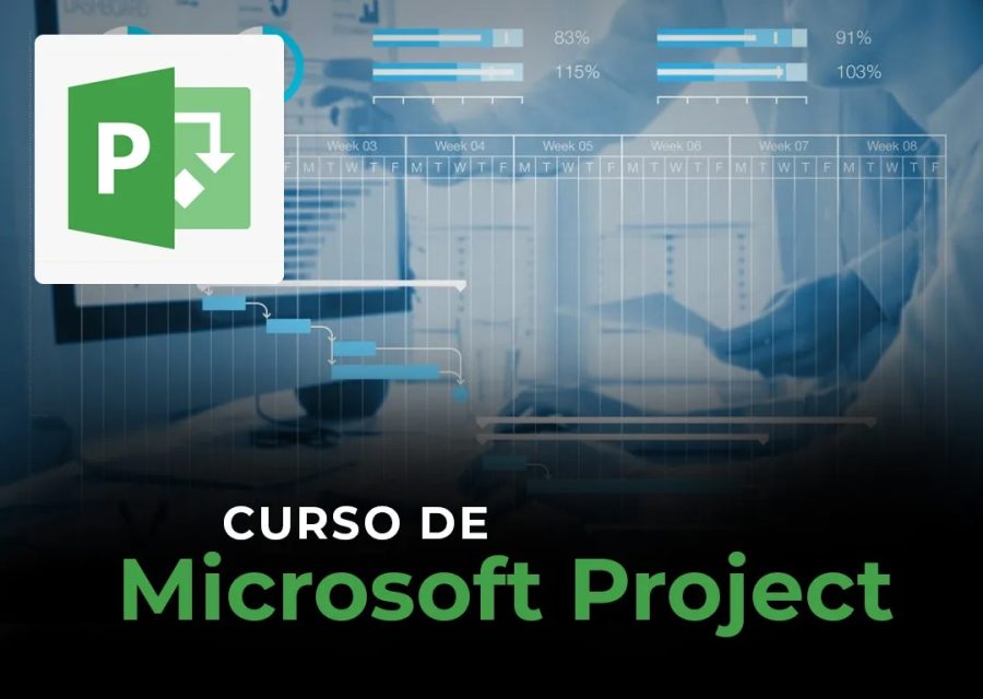 Imagen de MS Project